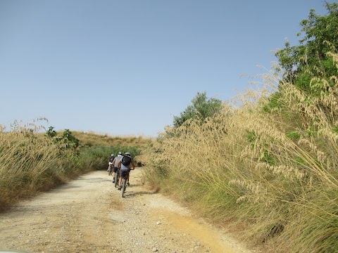 ottotubi bike tour