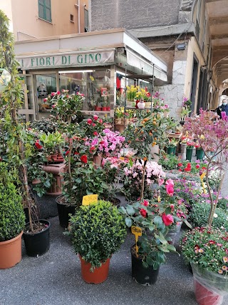 Fiori di Gino