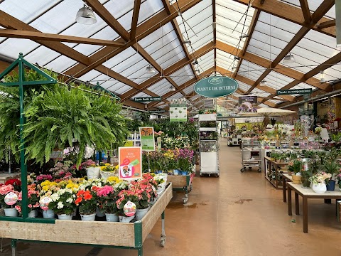 Viridea Garden Center Collegno (TO)