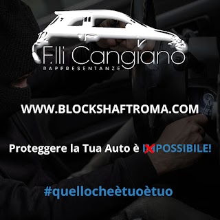 Fratelli Cangiano - Distributore Block Shaft