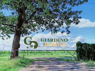 Giardino Dorato - Allevamento Golden Retriever - Pensione per cani