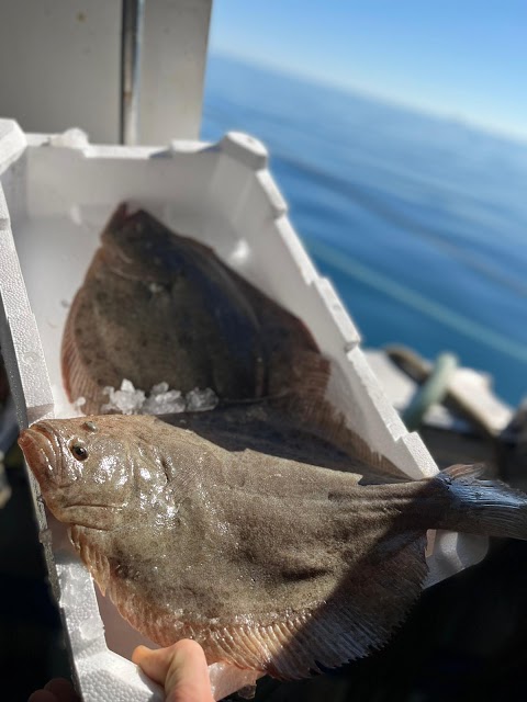 Pescheria Da Carmelo famiglia Tanfa