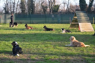 DOGS CROSSING - Centro Cinofilo - Parco ludico-motivazionale - Dogs Xing