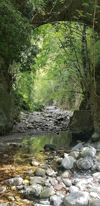 Centro accoglienza Riserva Naturale Orrido di Botri