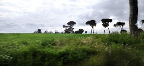 CREA - Centro di Ricerca per la Produzione delle carni ed il miglioramento genetico