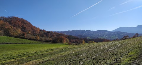 Fattoria Fiori Di Fiori Pierpaolo