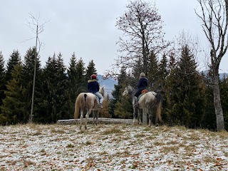 Azienda Agricola Gottardi Lara