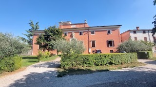 Palazzo di Monte Oliveto