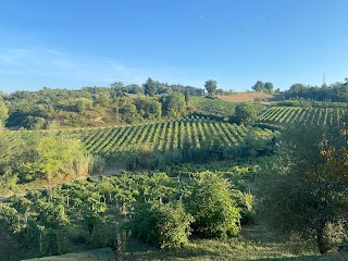 Casa di Ciliegi, Gambassi Terme