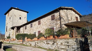 Alba Quarantotto - Villa Torre di Colonne