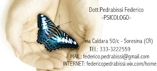 Dott. Federico Pedrabissi Psicologo