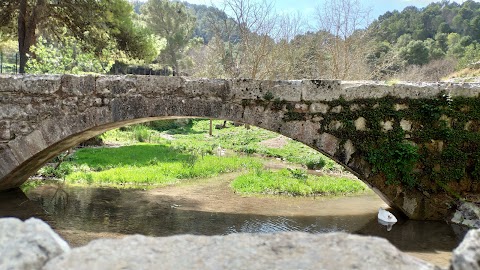 Parco forestale Calaforno