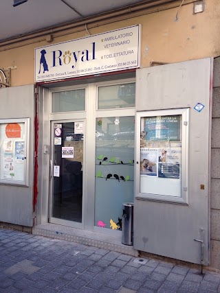 Royal Ambulatorio Veterinario