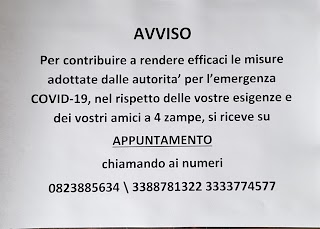 Ambulatorio Veterinario Teano