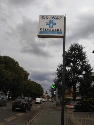 Ambulatorio Veterinario Belvedere