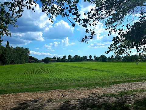 Bosco Della Bota