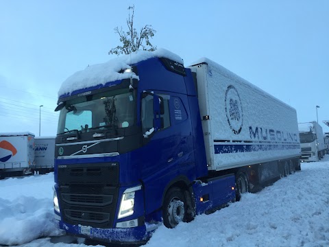 Trasporti Musolino - Trasporti Nazionali ed Esteri