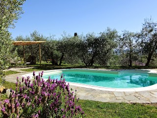 Agriturismo Il Castagnolino