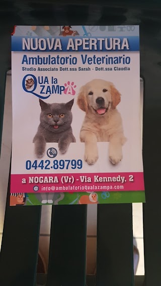 Ambulatorio Veterinario Qua La Zampa