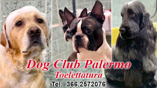 DogClubPalermo