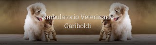 Ambulatorio Veterinario Gariboldi Dr. Marco