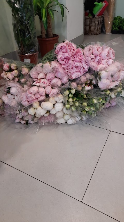 I Fiori di Marta Milano