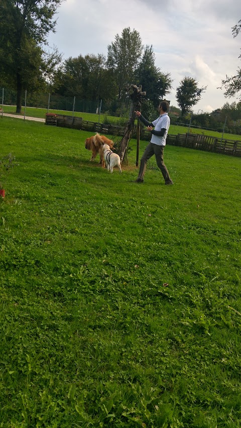 Cani-per-Caso asd Ludoteca-Asilo Piscina e Scuola