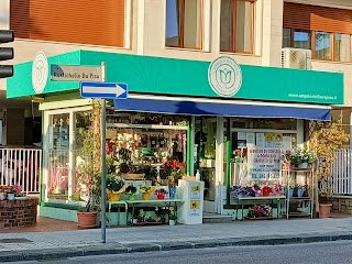 L'angolo Del Fiore Pisa