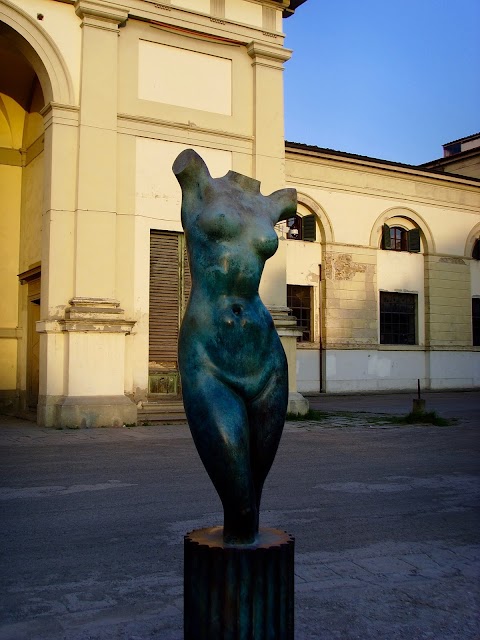 Liceo Artistico Statale di Porta Romana e Sesto Fiorentino