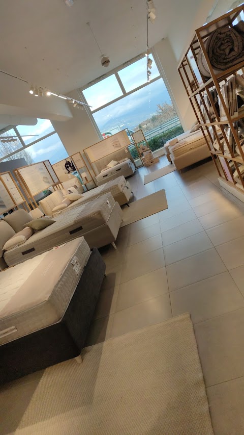 Perdormire showroom Pistoia