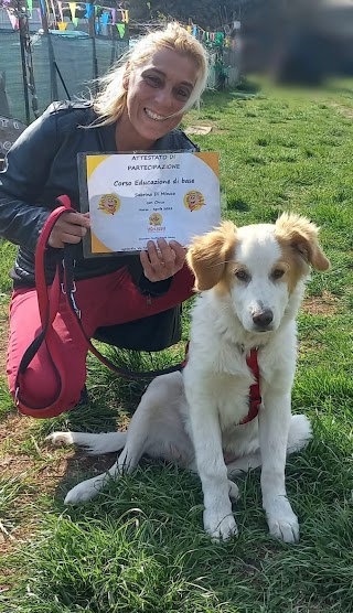 Iagolandia Parco Giochi a tema Per Cani