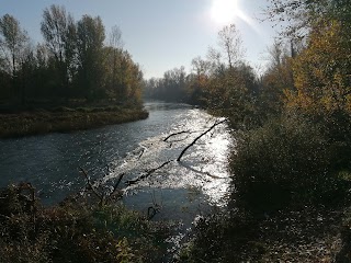 bosco dell isola