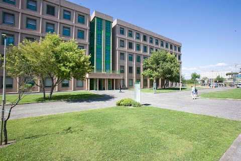 Università degli Studi di Roma "Tor Vergata"