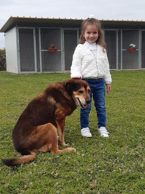 Pensione/Asilo per cani di Salvatore Congedo