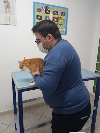 Centro Veterinario S.Antonio Abate