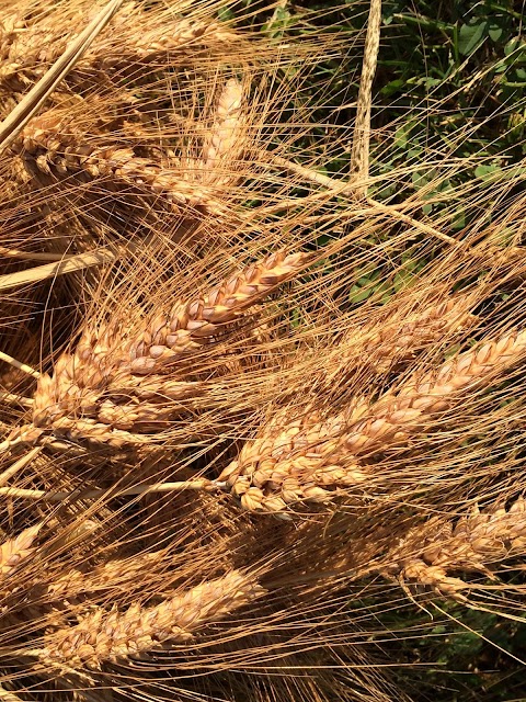 EREDITA' DAL PASSATO di Anedda Marco