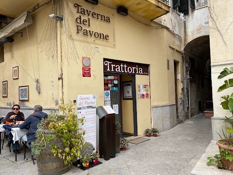 Taverna del Pavone