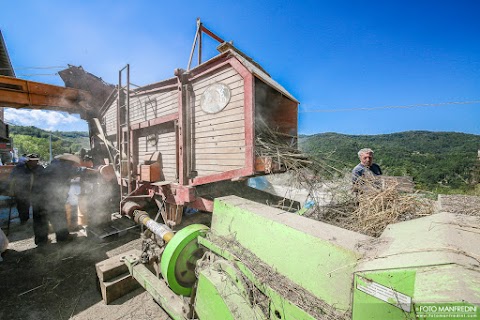 Agriturismo Casa Minelli