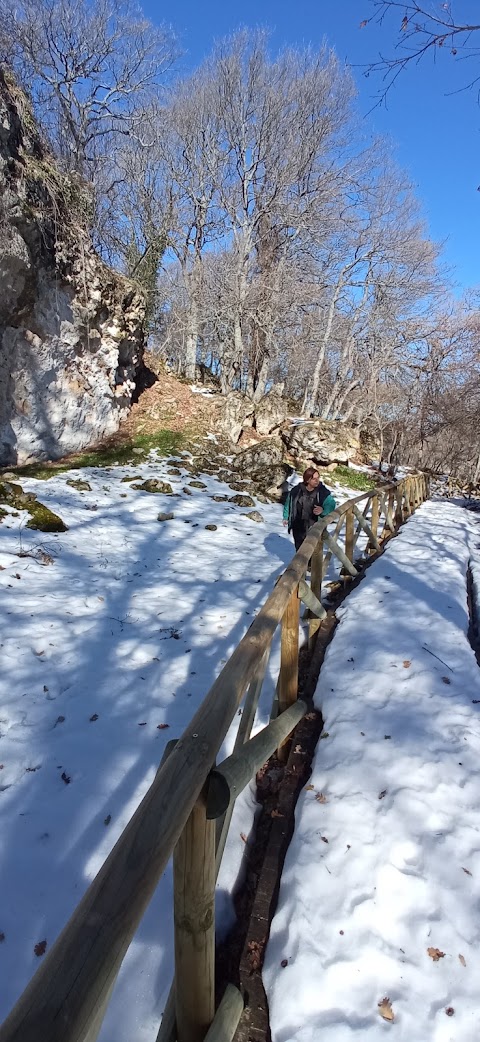 Bosco Tre Cancelli, Tricarico (MT)