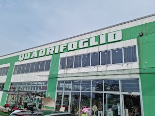 Quadrifoglio