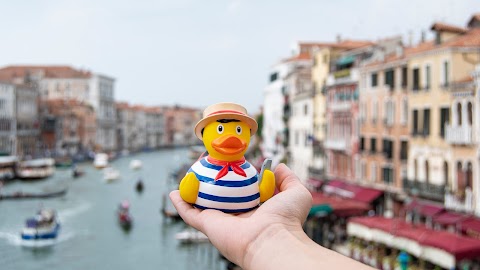 Venice Duck Store