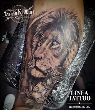 Studio1 Tattoo - studio di tatuaggi e piercing