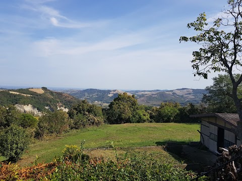 Trattoria MontePaolo con Locanda - Specialita' Carne Chianina