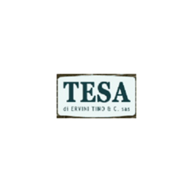 Tesa Sas