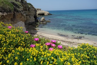 Grotte delle Sirene