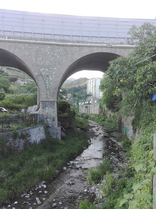 Scuola Primaria Evasio Montanella