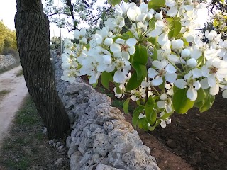 Masseria Pugliese