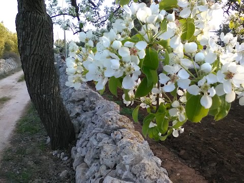 Masseria Pugliese