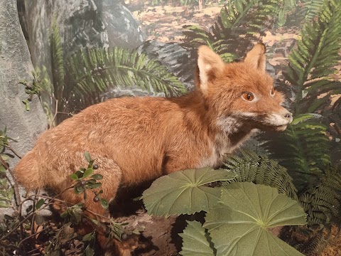 Casa del Parco Orso