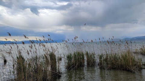 Lungolago Castelnuovo del Garda